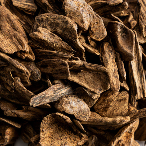 Indonesian High Mountain Oud